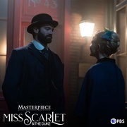 斯嘉丽小姐和公爵 第三季 Miss Scarlet and The Duke Season 3