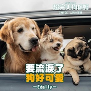 小狗小心肝 멍뭉이