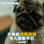 小狗小心肝 멍뭉이