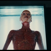 点击查看图片 殉难者 Martyrs