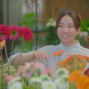 点击查看图片 余生一年的我,遇见了的余生半年的你的故事 余命一年の僕が、余命半年の君と出会った話。