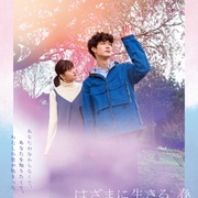 点击查看图片 夹缝中活着,小春 はざまに生きる、春