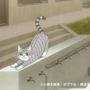 羽球青春 ラブオールプレー