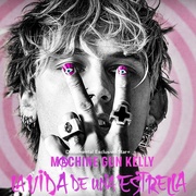 机关枪凯利的粉色人生 Machine Gun Kelly's Life in Pink