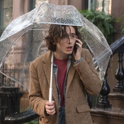 点击查看图片 纽约的一个雨天 A Rainy Day in New York