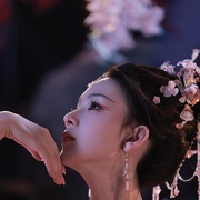 水龙吟