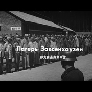 点击查看图片 解放1:炮火弧线 Освобождение: Огненная дуга