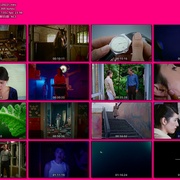 窈窕马戏 Piaffe