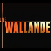 青年维兰德 第二季 Young Wallander Season 2
