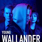 青年维兰德 第二季 Young Wallander Season 2