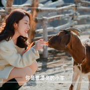 非正常动物研究中心