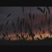极爱 Polarized