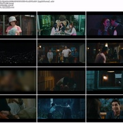 点击查看图片 夜莺 夜莺Nightbird