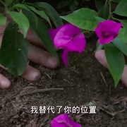 点击查看图片 四次旅行