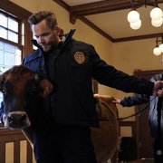 点击查看图片 动物管制官 第一季 Animal Control Season 1