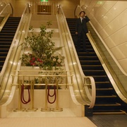 点击查看图片 潘多拉的果实~科学犯罪搜查档案~Season2 パンドラの果実~科学犯罪捜査ファイル~Season2