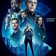 芝加哥警署 第十季 Chicago P.D. Season 10