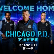 点击查看图片 芝加哥警署 第十一季 Chicago P.D. Season 11