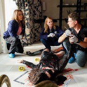 犯罪现场调查：维加斯 第二季 CSI: Vegas Season 2