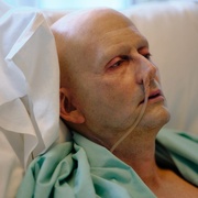 利特维年科 Litvinenko