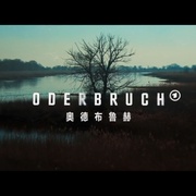 点击查看图片 奥德布鲁赫 Oderbruch