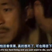 点击查看图片 绿头苍蝇 똥파리