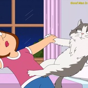 恶搞之家 第十九季 Family Guy Season 19