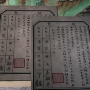 赘婿