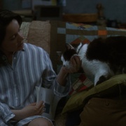 点击查看图片 爱情叩应 The Truth About Cats & Dogs