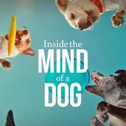 汪星人的奇思妙想 Inside the Mind of a Dog