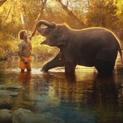 点击查看图片 小象守护者 The Elephant Whisperers