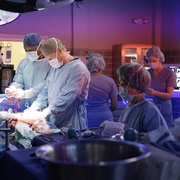 实习医生格蕾 第十三季 Grey's Anatomy Season 13