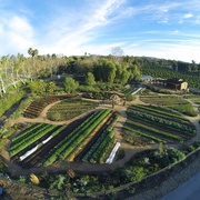 最大的小小农场：回归 The Biggest Little Farm: The Return