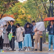 飞起来吧蝴蝶 날아올라라 나비