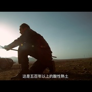 点击查看图片 古墓兽影