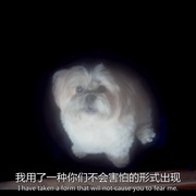 点击查看图片 敌对维度 Hostile Dimensions