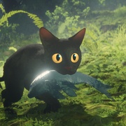 点击查看图片 猫猫的奇幻漂流 Straume