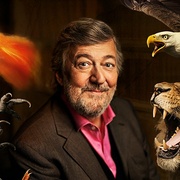 点击查看图片 神奇动物:一段自然历史 Fantastic Beasts: A Natural History