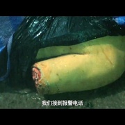 点击查看图片 谜案追凶
