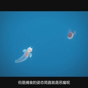 点击查看图片 匹配 マッチング