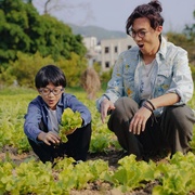 野人老师 野人老師