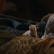 点击查看图片 黑暗物质三部曲 第三季 His Dark Materials Season 3