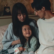 点击查看图片 棉尾兔 Cottontail