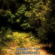 银元之路 Silver Dollar Road