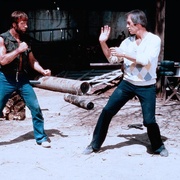 点击查看图片 独行侠野狼 Lone Wolf McQuade