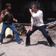 点击查看图片 独行侠野狼 Lone Wolf McQuade