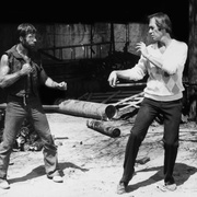 点击查看图片 独行侠野狼 Lone Wolf McQuade