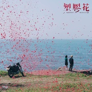 点击查看图片 塑胶花 塑膠花