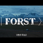 警探福斯特 Detective Forst