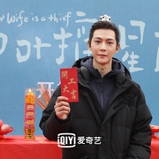 点击查看图片 柳叶摘星辰